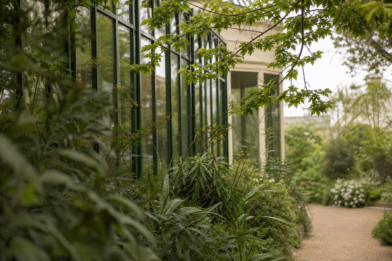 From Plague to Preservation at Hortus Botanicus, Amsterdam